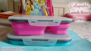 Collapsible silicon lunch box Review