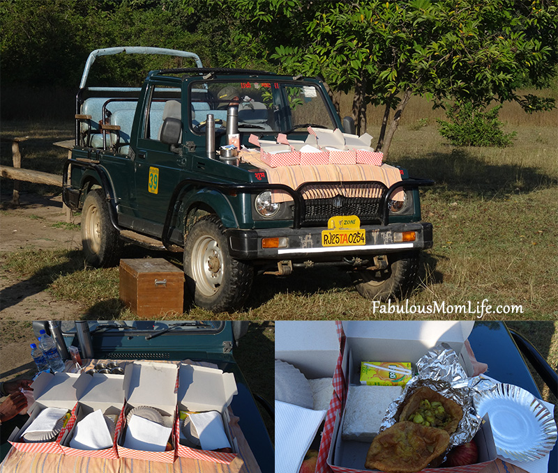 Breakfast in the Jungle at Pench Tiger Reserve