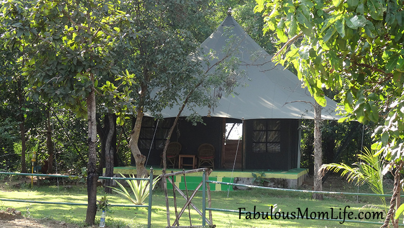 Glamping in the Glamorous Tents at Pench Jungle Camp