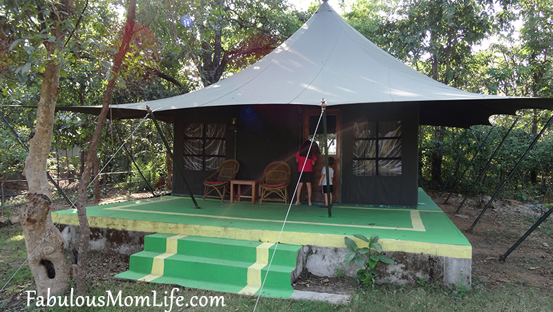 Glamping in the Glamorous Tents at Pench Jungle Camp