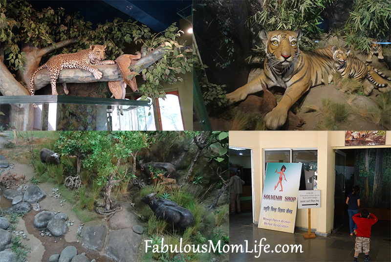 Pench Tiger Reserve Exhibit and Souvenir Shop
