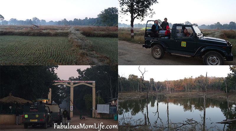 Pench Tiger Reserve Jungle Safari