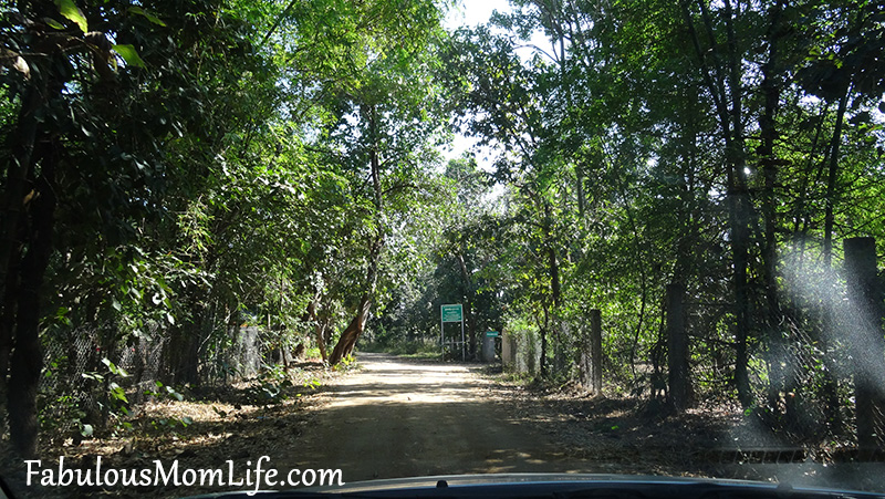 Roads within the Pench Tiger Reserve
