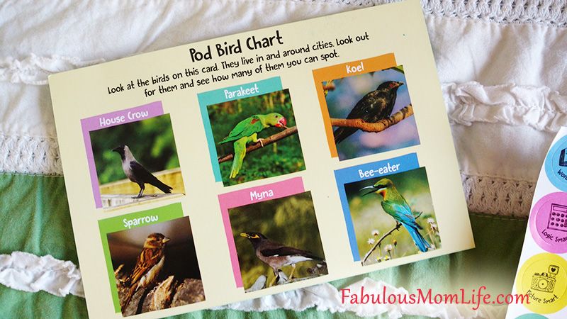 podsquad box mini bird chart