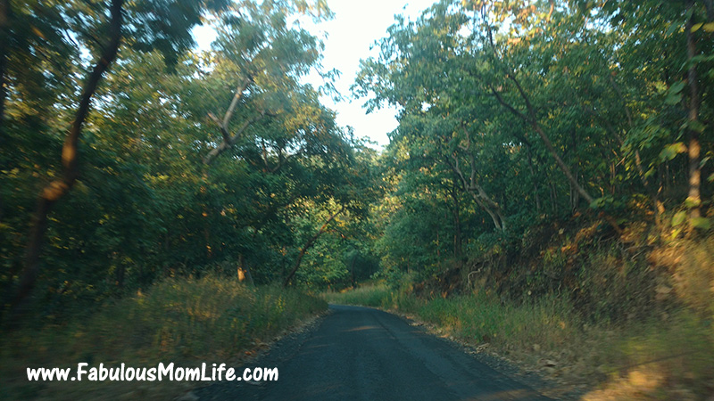 The Picturesque Road to Bor Dam