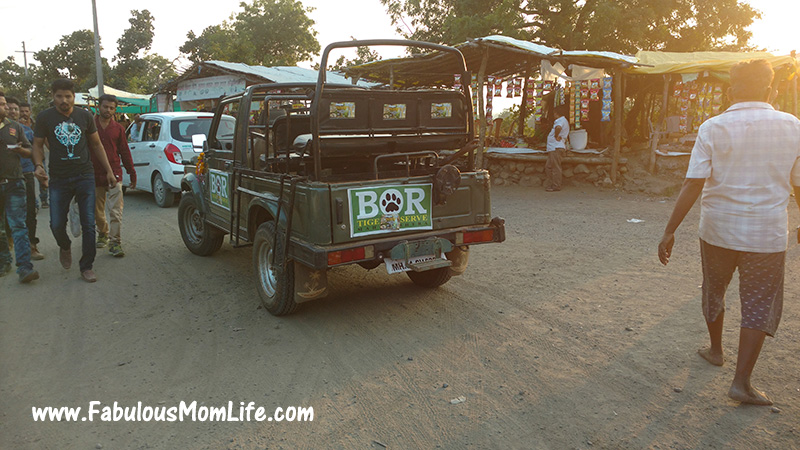 The Bor Jungle Safari Jeep
