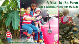 A Visit to the Farm and a Lakeside Picnic with the Kids