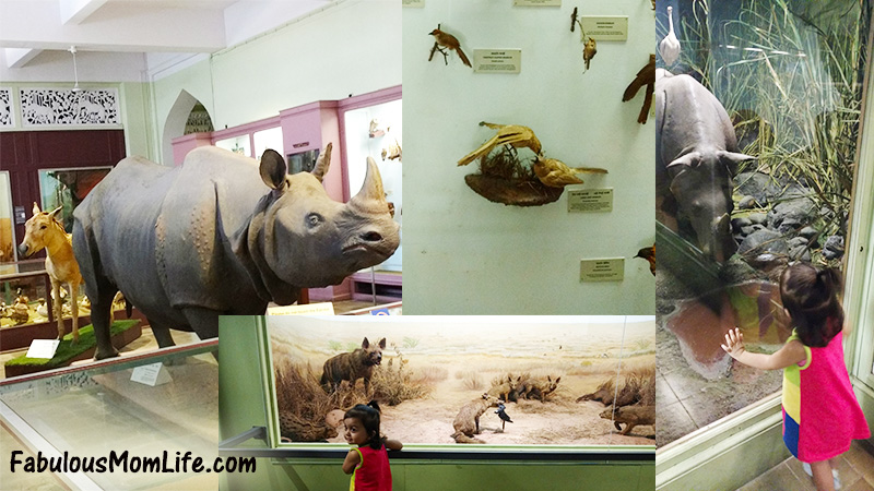 mumbai museum natural history