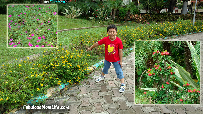 Flowers/Colors Spotting Game - 5 Fun Activities for Kids to do at the Park