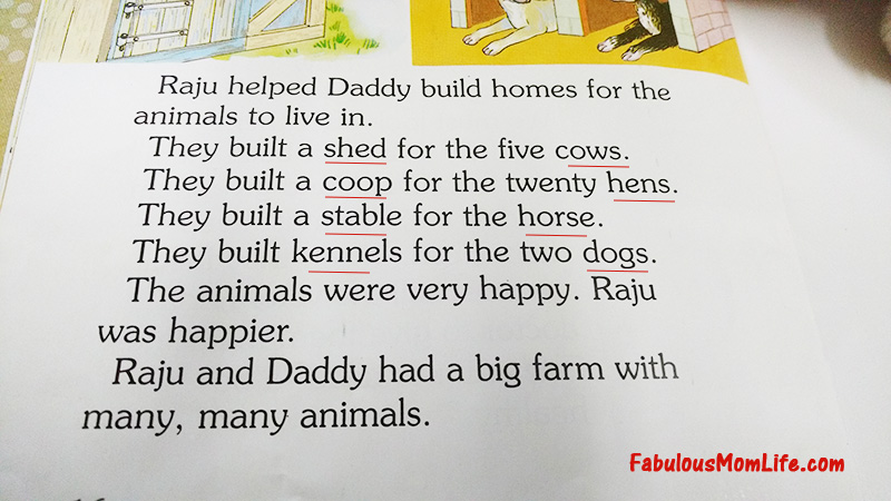animal homes book review