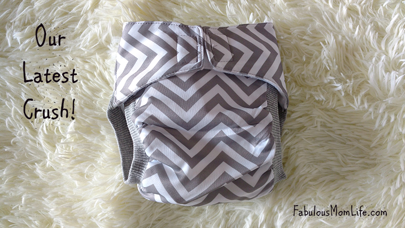 BumChum Hybrid Cloth Diapers India - Review