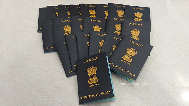 Passport Invitations for Around the World Birthday Party