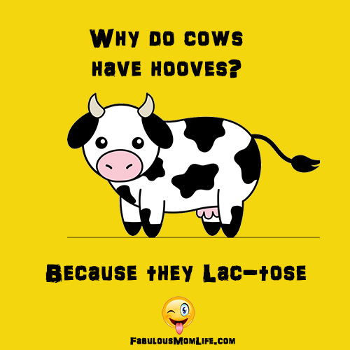 Why Do Cows Have Hooves? Funny English Puns