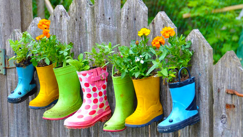 Creating Your Own Gardening Blog for Fun and Profit