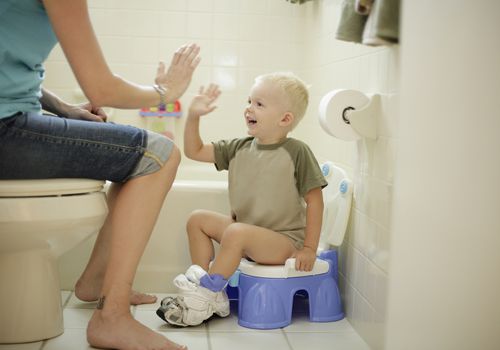 Toilet Training - 11 Tips to Successfully Potty Train Your Toddler