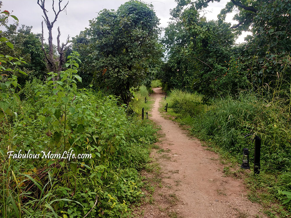 Pench Tree Lodge