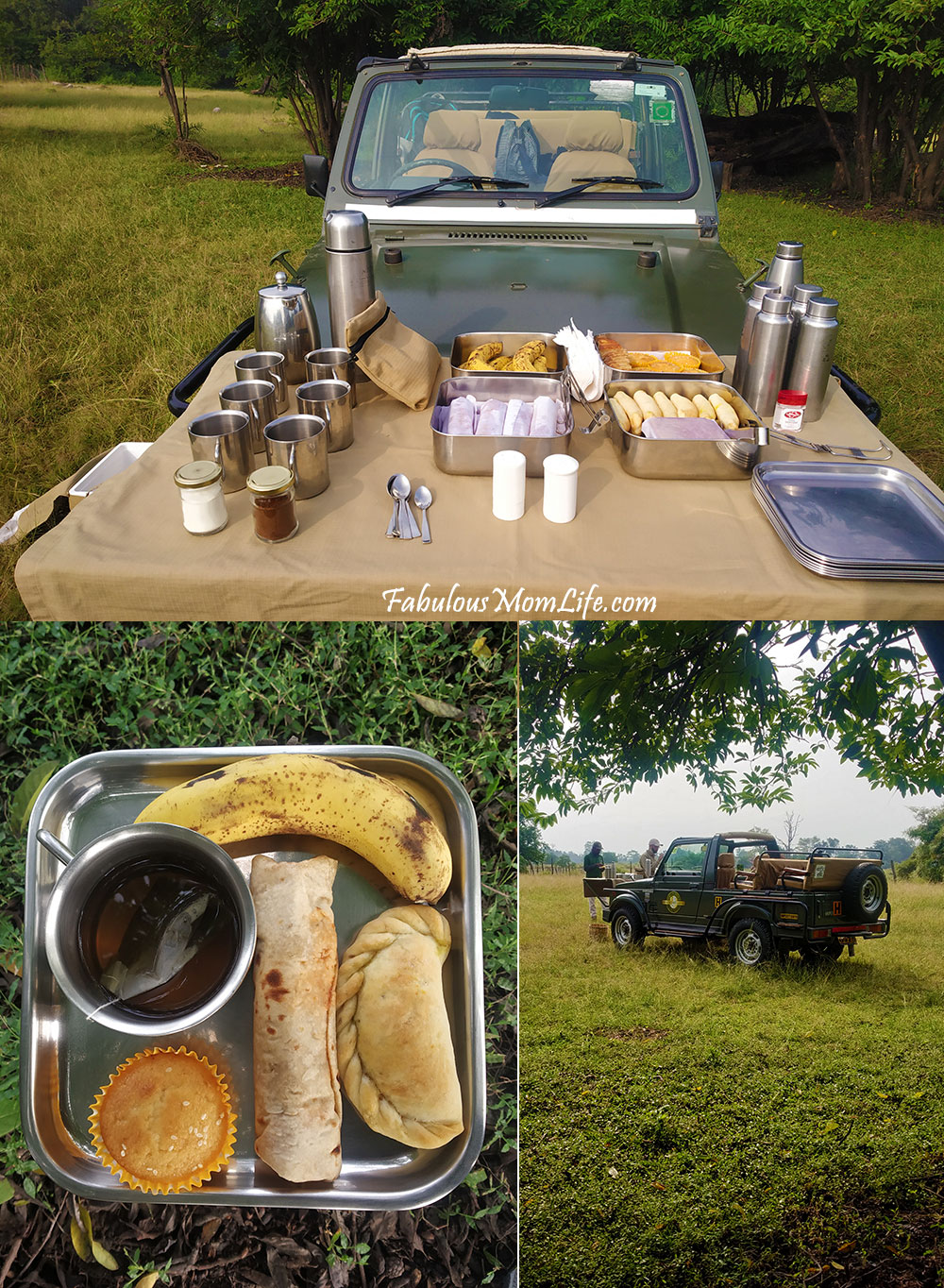 Pench Tree Lodge Jungle Safari Breakfast