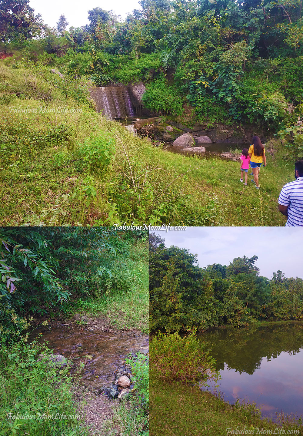 Pench Tree Lodge Nature Walk