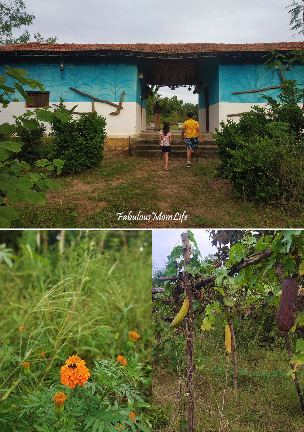 Pench Tree Lodge Organic Garden