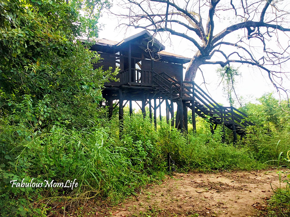 Tree House at Pench Tree Lodge