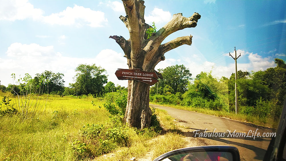 Pench Tree Lodge - Entrance - Sign on Tree
