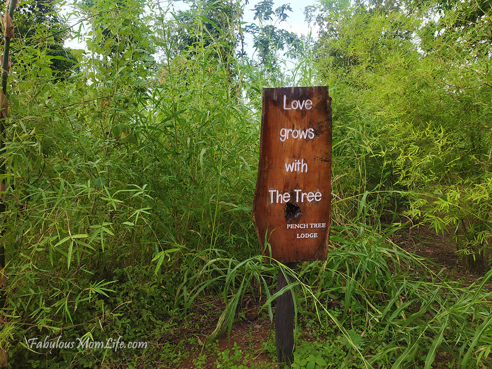 Pench Tree Lodge