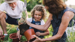 gardening with kids - summer family fun