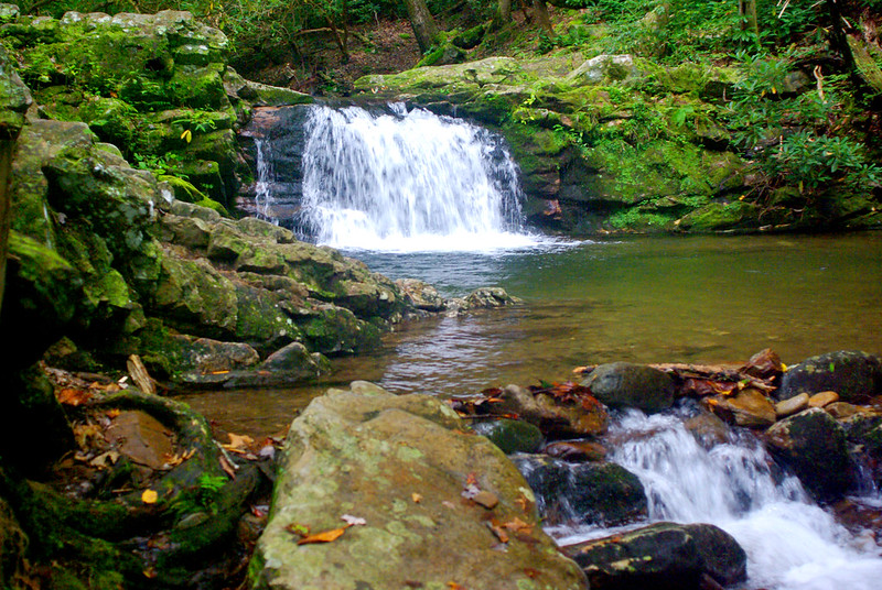 Cherokee National Forest, Tennessee