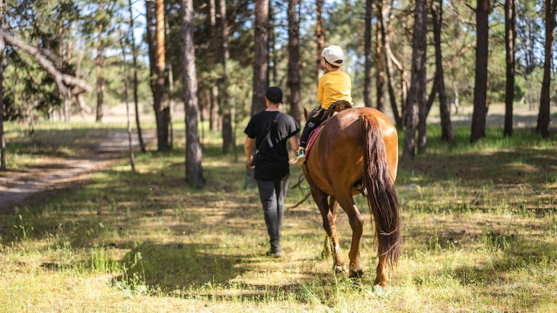 Horseback Riding