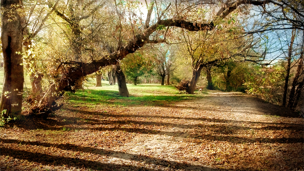 Old Mill Park, Fredericksburg VA