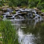 6 Reasons Pigeon Forge is a Family-Friendly Vacation Spot