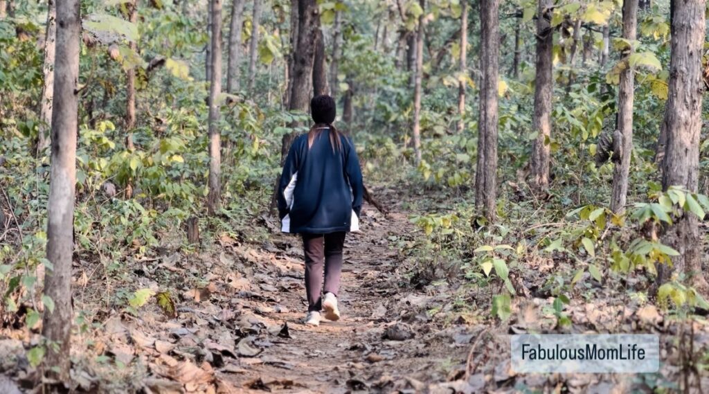 Nature's Embrace: Shinrin Yoku and Global Philosophies for Forest Connection