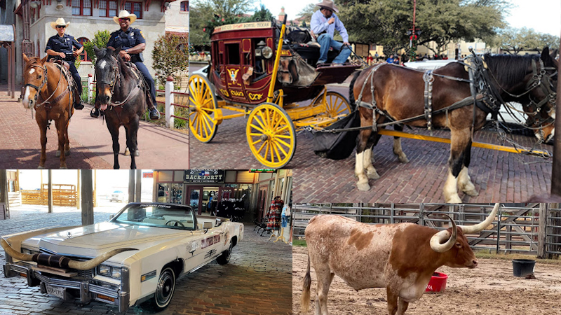 Authentic cowboy experience at the historic Fort Worth Stockyards
