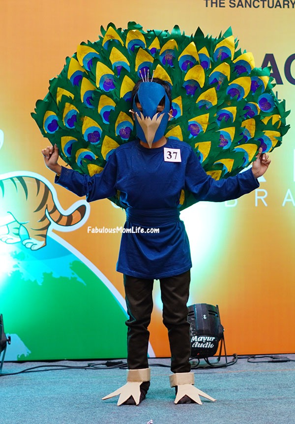 Peacock Fancy Dress / Halloween Costume
