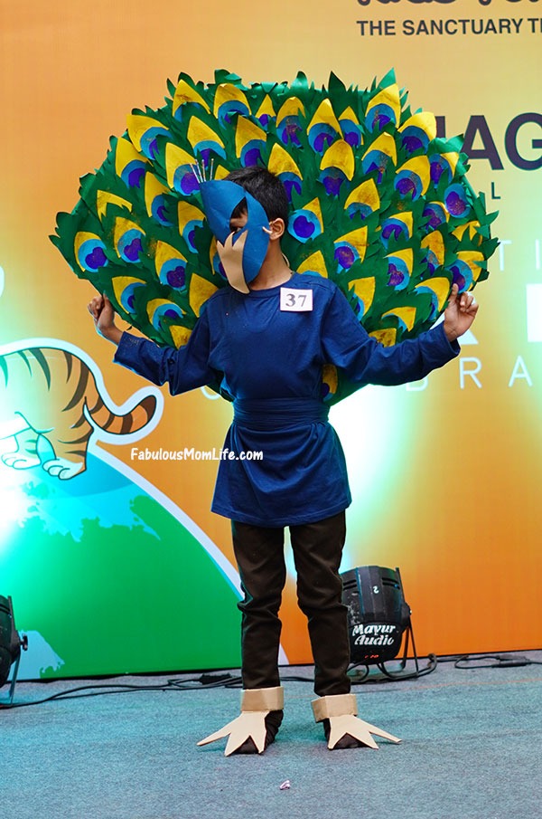 Peacock Fancy Dress / Halloween Costume