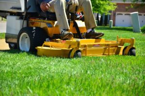 Lawn Improvements That Make Your Home Stand Out