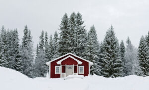 Seasonal Home Maintenance: A Year-long Guide