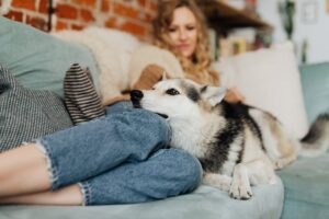 A Gentle Way to Help Pets Relax Naturally