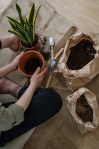 Seasonal Demand for Bulk Potting Soil: When to Buy in Bulk
