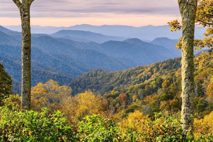 Simple Ways Families Can Enjoy Time in Nature