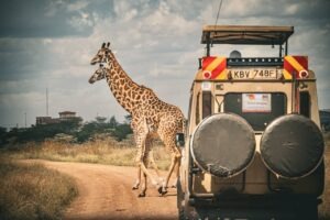 8 Things to Know Before Your First Trip to Kenya