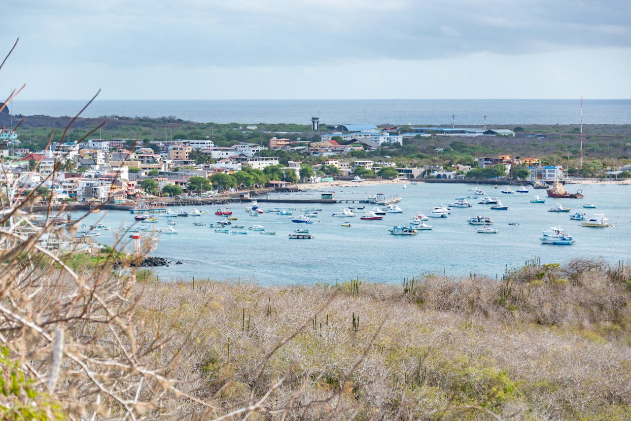 Top 5 Benefits of a Private Yacht in the Galapagos