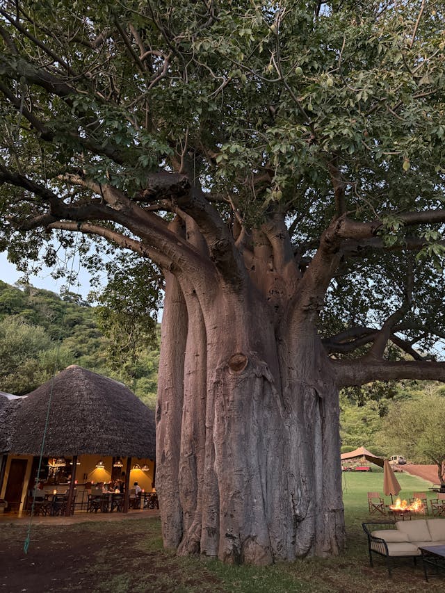 african safari lodges
