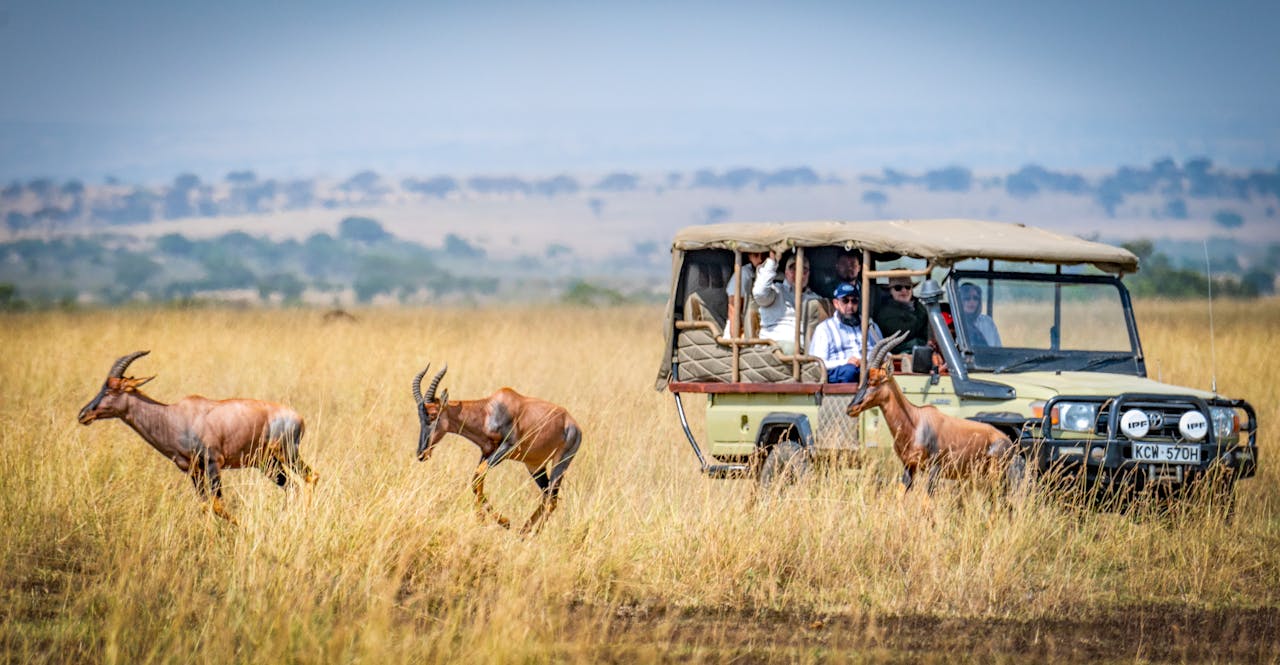african safari planning tips