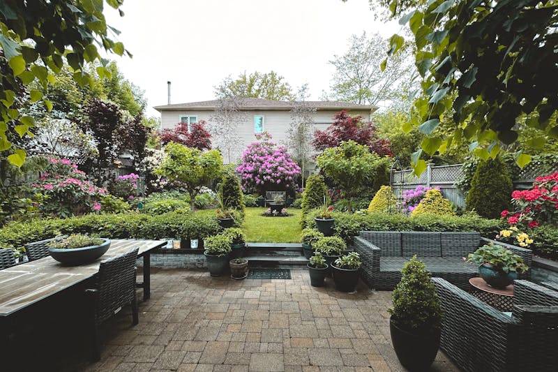 contemporary patio gardens