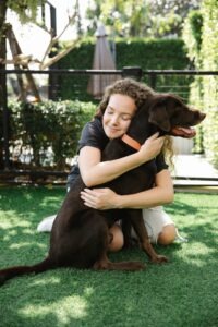 7 Ways Medcovet Luma Can Help You Catch Early Signs of Illness in Your Pet