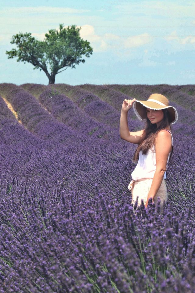 best lavender fields in Europe