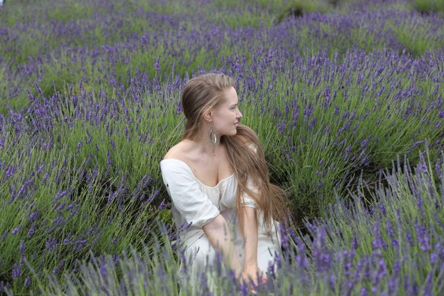 Southern England Lavender Fields