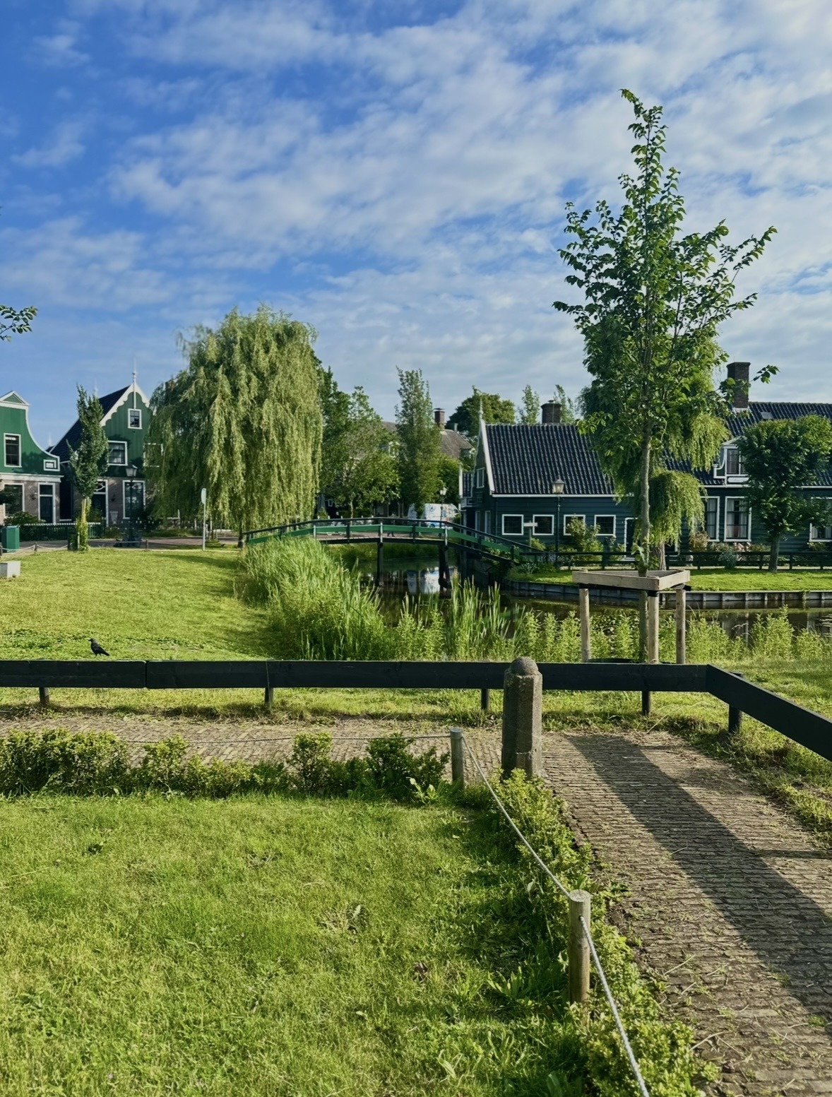 Zaanse Schans Day Trip from Amsterdam