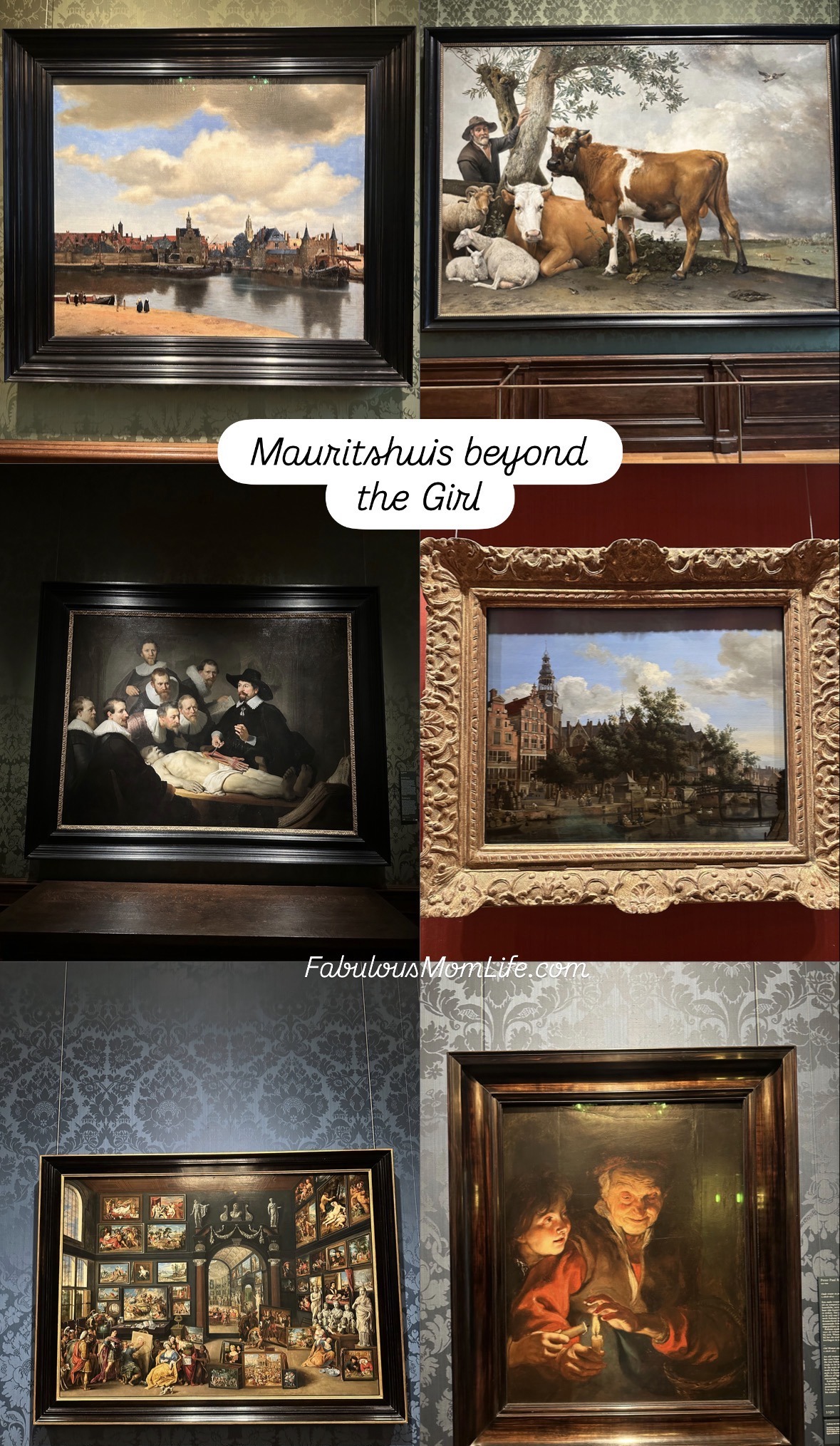 Mauritshuis Artwork collection